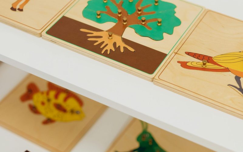 pexels-photo-8923969